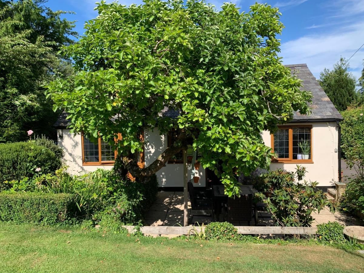 Whiteparish Newton Farmhouse מראה חיצוני תמונה