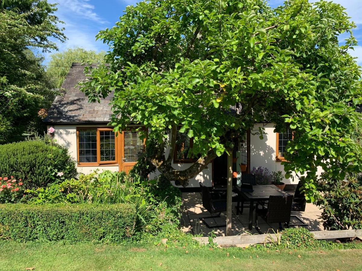 Whiteparish Newton Farmhouse מראה חיצוני תמונה