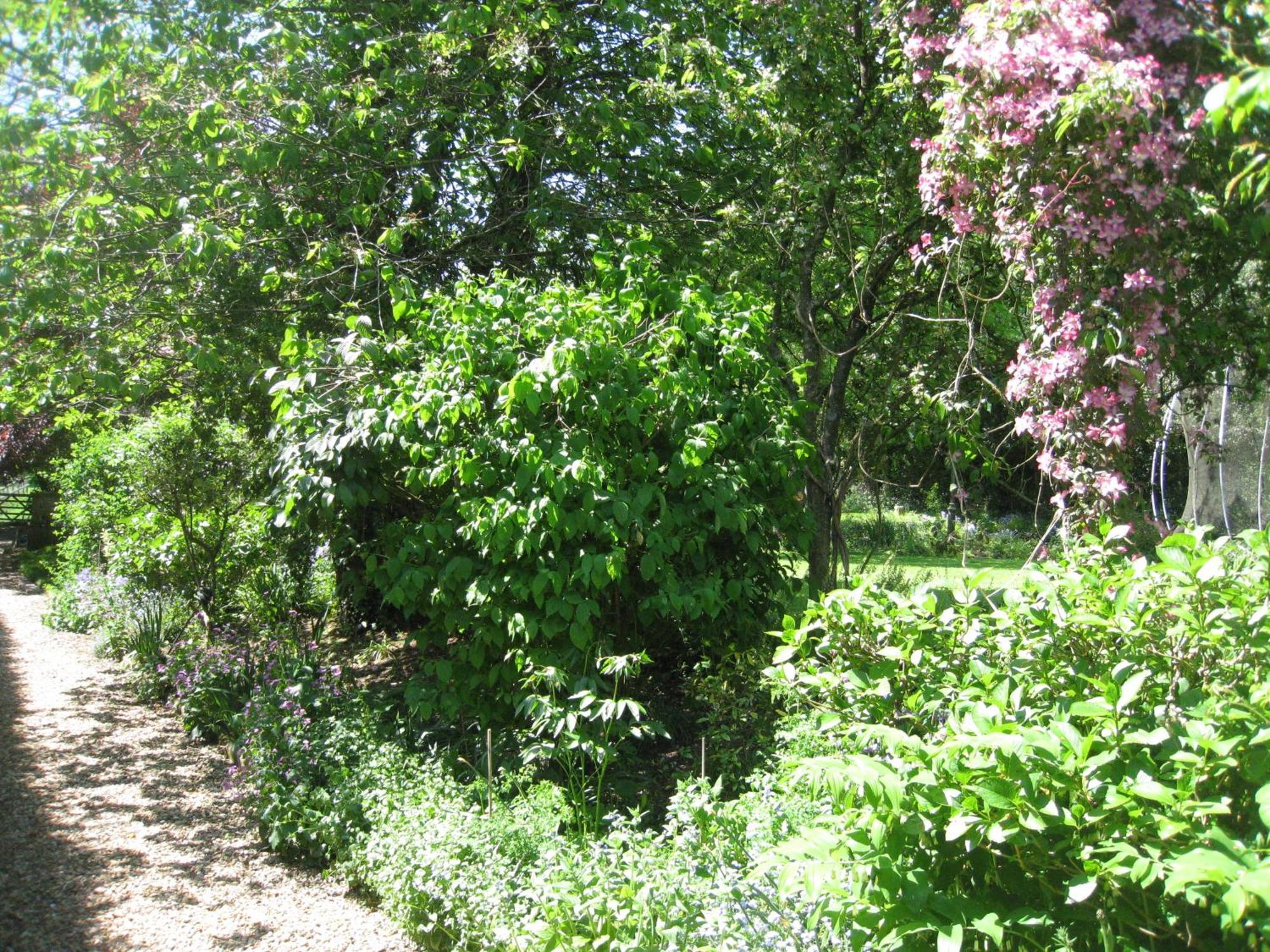 Whiteparish Newton Farmhouse מראה חיצוני תמונה
